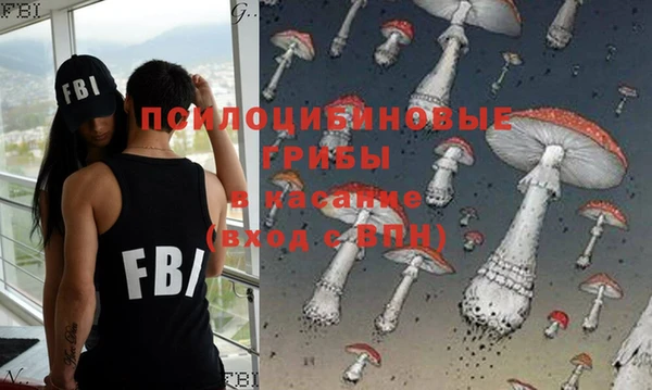 МДПВ Абаза