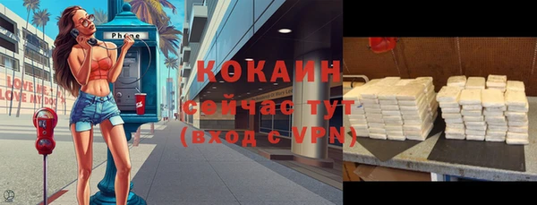 МДПВ Абаза