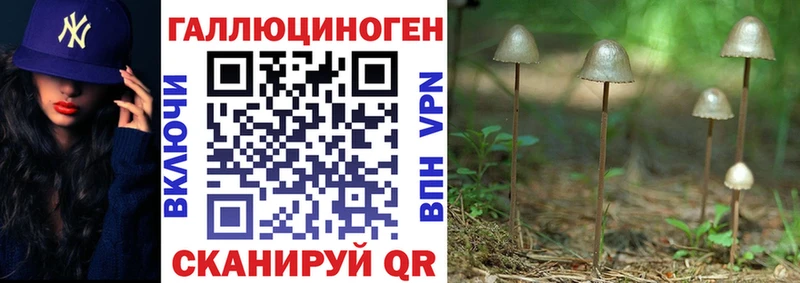 цены наркотик  Карабаш  darknet состав  Псилоцибиновые грибы мицелий 